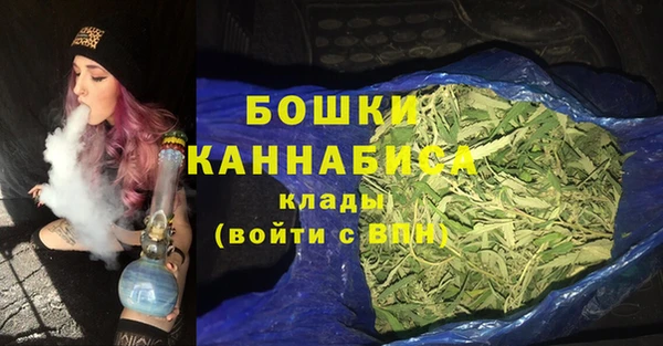 ПСИЛОЦИБИНОВЫЕ ГРИБЫ Вязьма