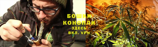 ПСИЛОЦИБИНОВЫЕ ГРИБЫ Вязьма