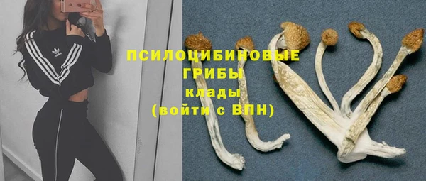 ПСИЛОЦИБИНОВЫЕ ГРИБЫ Вязьма