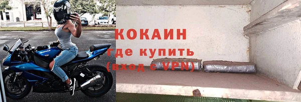 ПСИЛОЦИБИНОВЫЕ ГРИБЫ Вязьма
