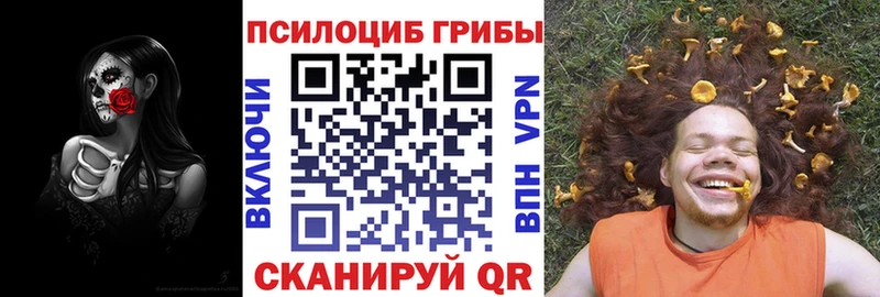 Купить закладки  Клинцы  Галлюциногенные грибы ЛСД 